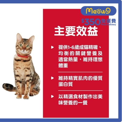 高齡貓糧 7+ 健康燉肉配方 - 雞肉及米 (2.8oz x 6) 貓罐頭 - HILLS