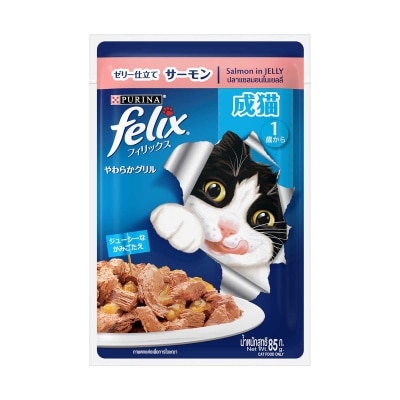 成貓貓濕糧三文魚