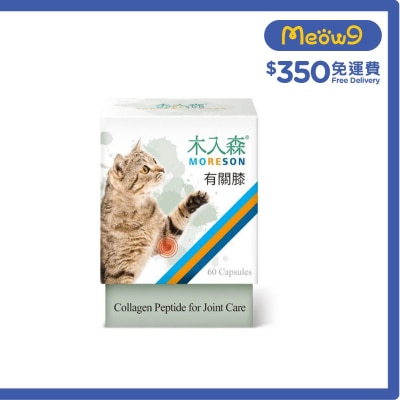 貓用有關膝 (60顆) - 木入森