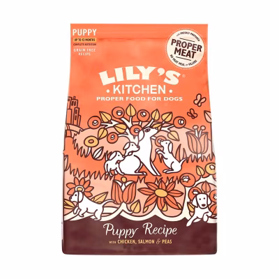 Dry Dog Food Chicken & Salmon