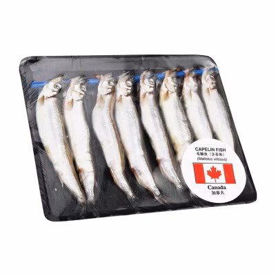 Frozen Capelin (fish)  [ Canada](frozen -18°c)