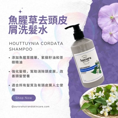 魚腥草去頭皮屑洗髮水