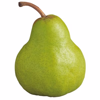 Packham Pear (south Africa)