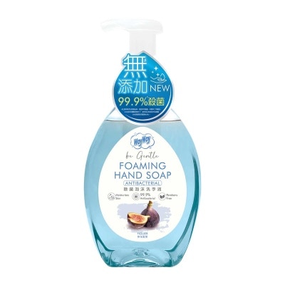 除菌泡沫洗手液無花聖果３００毫升