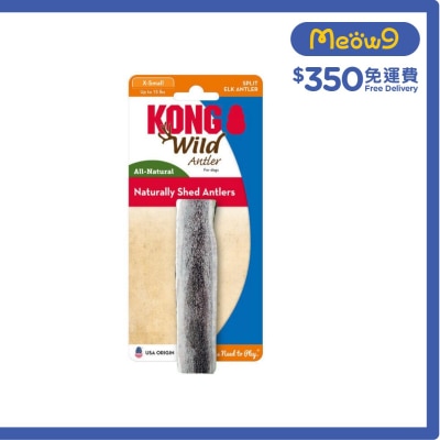 半切野生鹿角 (Size XS, ~4"x1") - KONG