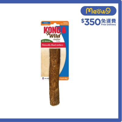 原條野生鹿角(Size M, ~6"x1.25") - KONG