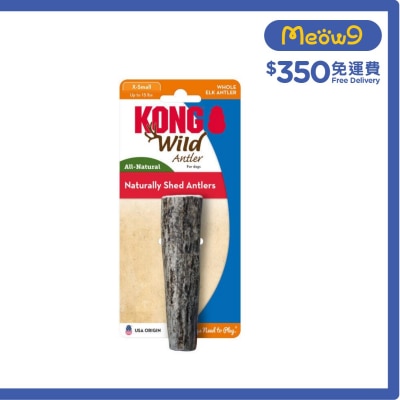 原條野生鹿角(Size XS, ~4"x1") - KONG